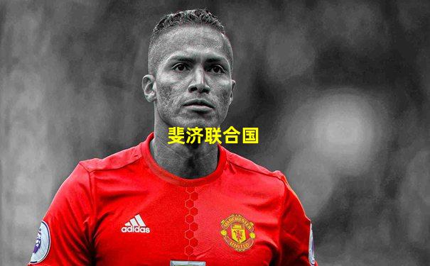 斐济联合国