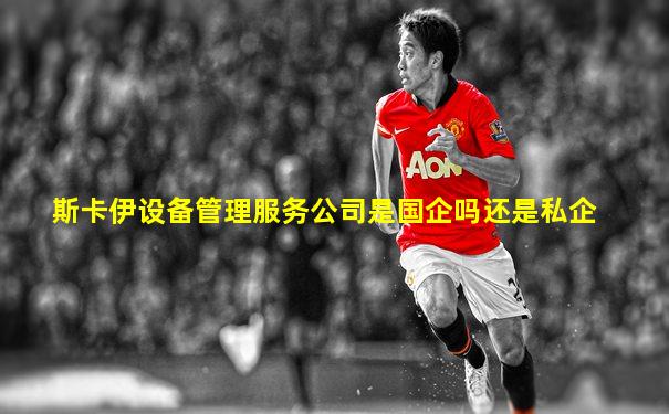 斯卡伊设备管理服务公司是国企吗还是私企