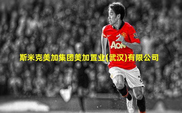 斯米克美加集团美加置业(武汉)有限公司