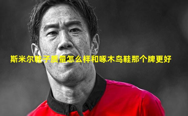 斯米尔鞋子质量怎么样和啄木鸟鞋那个牌更好
