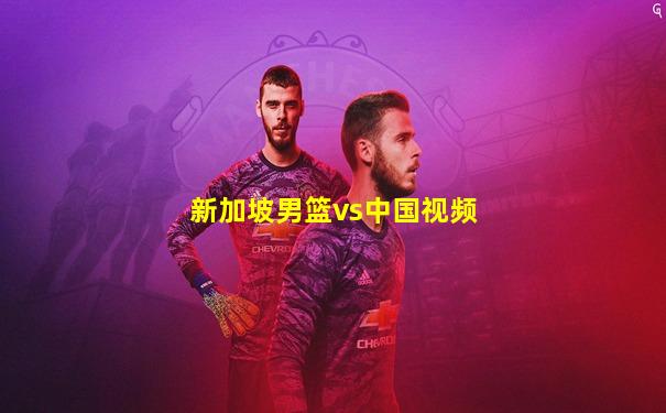 新加坡男篮vs中国视频