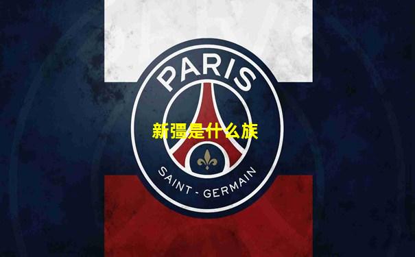 新彊是什么族