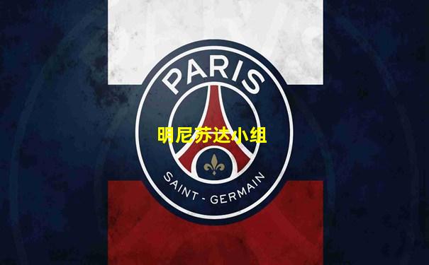 明尼苏达小组