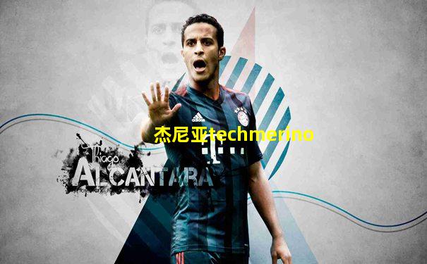 杰尼亚techmerino