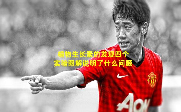 植物生长素的发现四个实验图解说明了什么问题