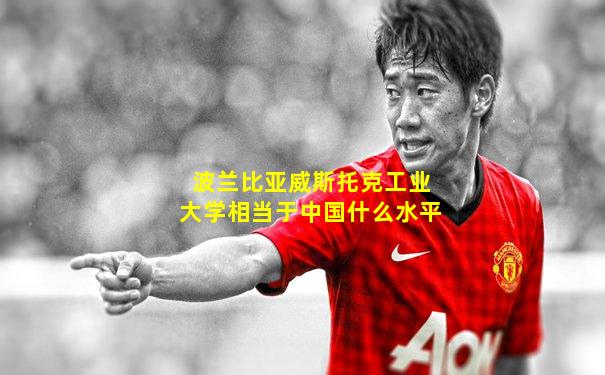 波兰比亚威斯托克工业大学相当于中国什么水平