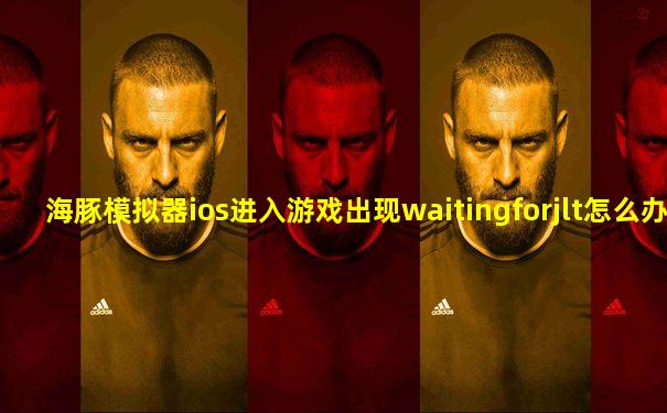 海豚模拟器ios进入游戏出现waitingforjlt怎么办