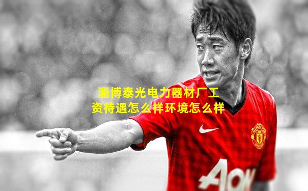 淄博泰光电力器材厂工资待遇怎么样环境怎么样