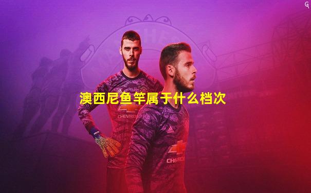 澳西尼鱼竿属于什么档次