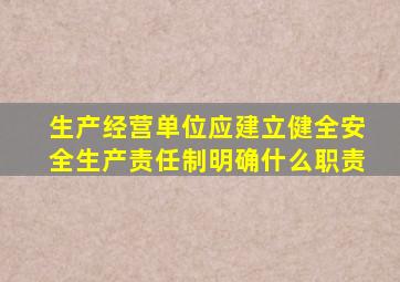 生产经营单位应建立健全安全生产责任制明确什么职责