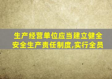 生产经营单位应当建立健全安全生产责任制度,实行全员