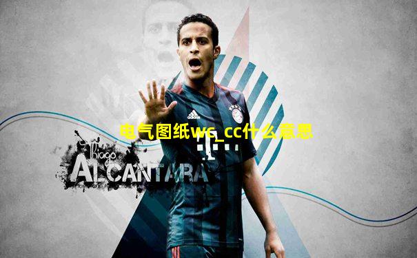电气图纸wc_cc什么意思