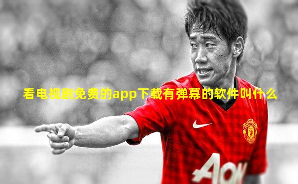 看电视剧免费的app下载有弹幕的软件叫什么