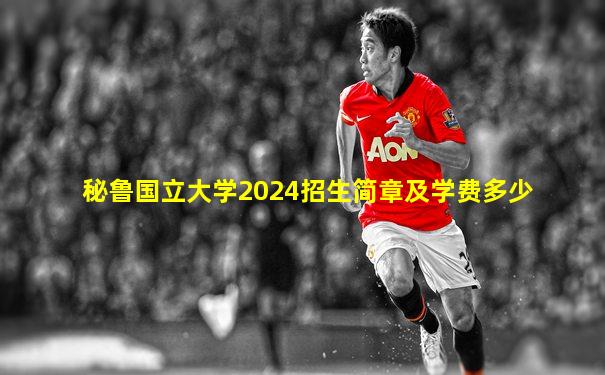 秘鲁国立大学2024招生简章及学费多少