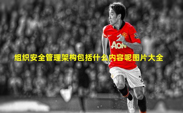 组织安全管理架构包括什么内容呢图片大全