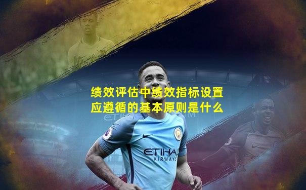 绩效评估中绩效指标设置应遵循的基本原则是什么