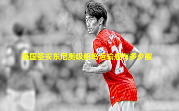美国圣安东尼奥级船坞运输舰有多少艘