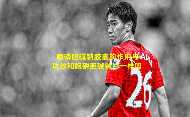 胞磷胆碱钠胶囊的作用与功效和胞磷胆碱钠片一样吗