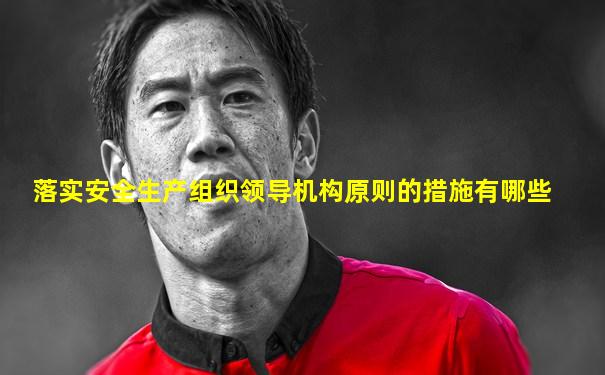 落实安全生产组织领导机构原则的措施有哪些