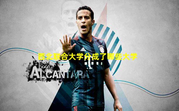 西北联合大学分成了哪些大学