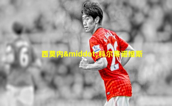 西莫内·科尔蒂诺维斯