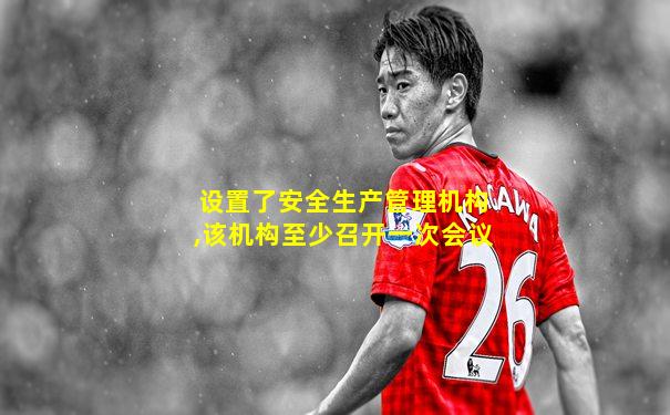 设置了安全生产管理机构,该机构至少召开一次会议