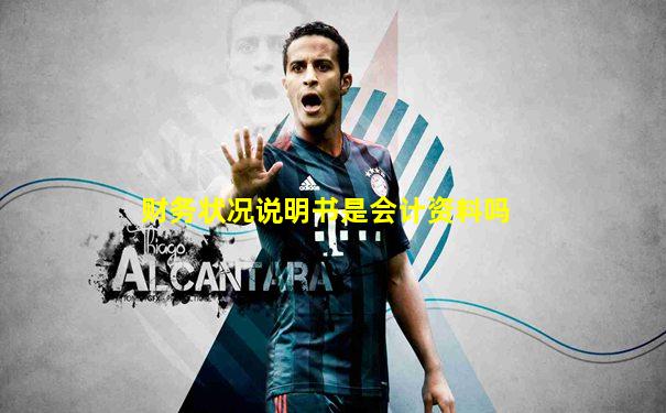 财务状况说明书是会计资料吗