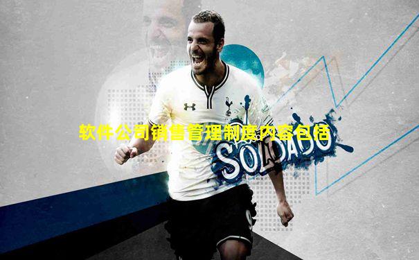 软件公司销售管理制度内容包括