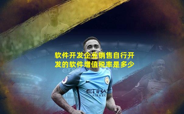 软件开发企业销售自行开发的软件增值税率是多少