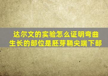 达尔文的实验怎么证明弯曲生长的部位是胚芽鞘尖端下部