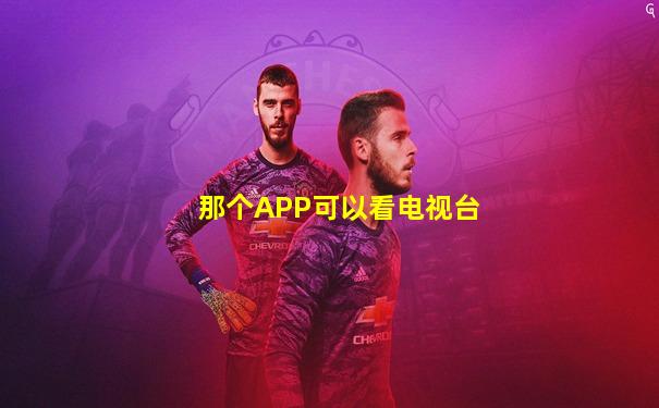 那个APP可以看电视台