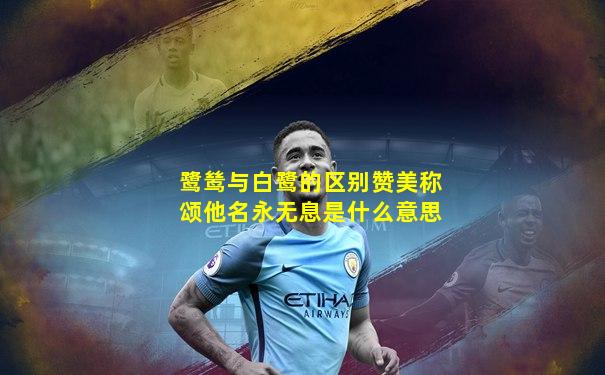 鹭鸶与白鹭的区别赞美称颂他名永无息是什么意思