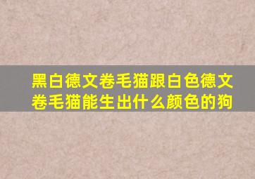 黑白德文卷毛猫跟白色德文卷毛猫能生出什么颜色的狗
